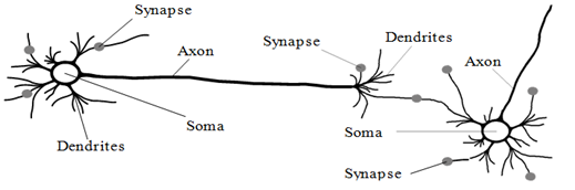 2051_Architecture Of Neural Network.png